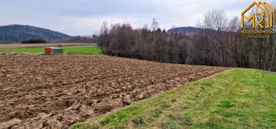 Duża działka rolno  leśna w gm Gromnik - Brzozowa  -
małopolskie Zdjęcie nr 7