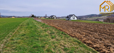 Duża działka rolno  leśna w gm Gromnik - Brzozowa  -
małopolskie Zdjęcie nr 8
