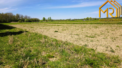 Kompleks trzech działek budowlanych w Łukowej - Łukowa  -
małopolskie Zdjęcie nr 13