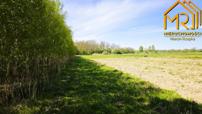 Kompleks trzech działek budowlanych w Łukowej - Łukowa  -
małopolskie Zdjęcie nr 4