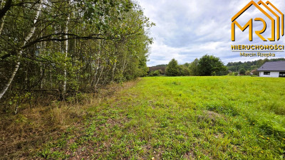 1 ha działki rolnej w gminie Szerzyny  - Żurowa  -
małopolskie Zdjęcie nr 13