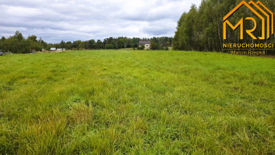 1 ha działki rolnej w gminie Szerzyny  - Żurowa  -
małopolskie Zdjęcie nr 5