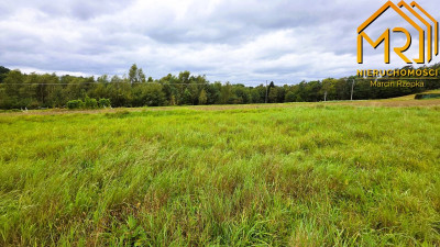 1 ha działki rolnej w gminie Szerzyny  - Żurowa  -
małopolskie Zdjęcie nr 6