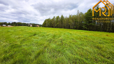 1 ha działki rolnej w gminie Szerzyny  - Żurowa  -
małopolskie Zdjęcie nr 9