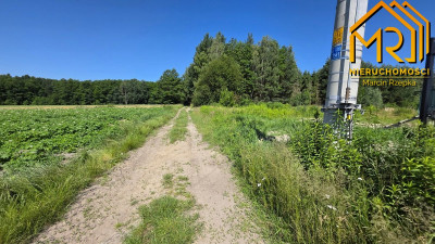 Działka z wydanymi warunkami zabudowy  gm Czarna - Podlesie  -
podkarpackie Zdjęcie nr 12