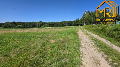 Działka z wydanymi warunkami zabudowy  gm Czarna - Podlesie  -
podkarpackie Zdjęcie nr 13