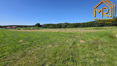 Działka z wydanymi warunkami zabudowy  gm Czarna - Podlesie  -
podkarpackie Zdjęcie nr 4