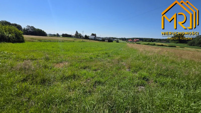 Działka z wydanymi warunkami zabudowy  gm Czarna - Podlesie  -
podkarpackie Zdjęcie nr 6