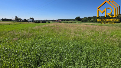 Działka z wydanymi warunkami zabudowy  gm Czarna - Podlesie  -
podkarpackie Zdjęcie nr 7