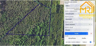 Duża działka leśna w gminie Osiek - Ossala  -
ŚWIĘTOKRZYSKIE Zdjęcie nr 12