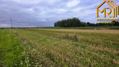 Działka 849 ar z WZ  przy granicy z Bobrownikami - Łęg Tarnowski  -
małopolskie Zdjęcie nr 10