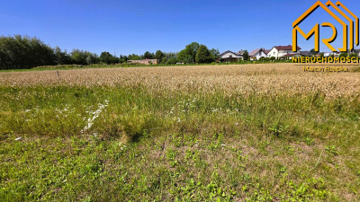 Działka 849 ar z WZ  przy granicy z Bobrownikami - Łęg Tarnowski  -
małopolskie Zdjęcie nr 8
