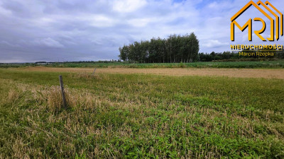 Działka z WZ w okolicy stawów  Łęg Tarnowski gm - Łęg Tarnowski  -
małopolskie Zdjęcie nr 10