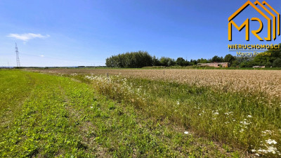 Działka z WZ w okolicy stawów  Łęg Tarnowski gm - Łęg Tarnowski  -
małopolskie Zdjęcie nr 6