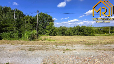 Działka budowlana 20 min od Tarnowa  gm Pleśna  - Szczepanowice  -
małopolskie Zdjęcie nr 10