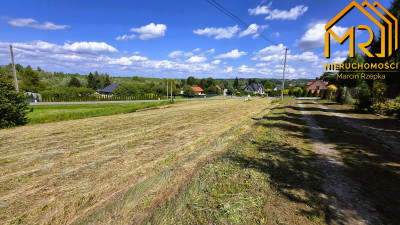Działka budowlana 20 min od Tarnowa  gm Pleśna  - Szczepanowice  -
małopolskie Zdjęcie nr 4