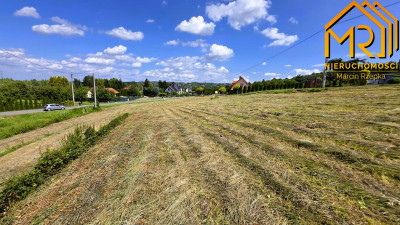 Działka budowlana 20 min od Tarnowa  gm Pleśna  - Szczepanowice  -
małopolskie Zdjęcie nr 5