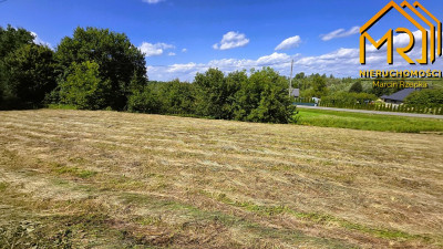 Działka budowlana z kawałkiem lasu  idealna równi - Szczepanowice   -
małopolskie Zdjęcie nr 3