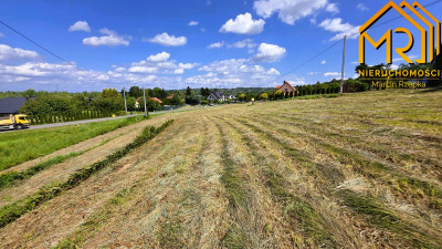 Działka budowlana z kawałkiem lasu  idealna równi - Szczepanowice   -
małopolskie Zdjęcie nr 6