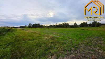 Sześć działek pod zabudowę  od 8 do 15 ar blisko - Ładna  -
małopolskie  Zdjęcie nr 10