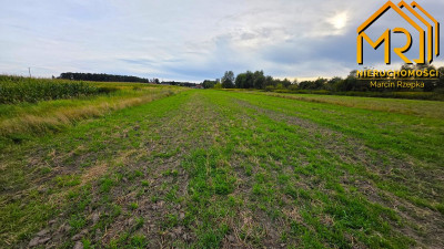 Sześć działek pod zabudowę  od 8 do 15 ar blisko - Ładna  -
małopolskie  Zdjęcie nr 5