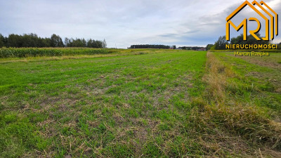 Sześć działek pod zabudowę  od 8 do 15 ar blisko - Ładna  -
małopolskie  Zdjęcie nr 6