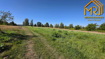 Działka usługowo-produkcyjna 3462 m  przy granic - Skrzyszów  -
małopolskie Zdjęcie nr 10