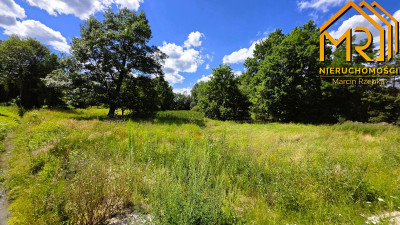 Działka z WZ w Wierzchosławicach  - Wierzchosławice  -
małopolskie Zdjęcie nr 4