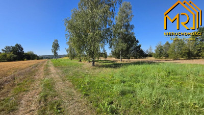 
4 działki budowlane w Skrzyszowie  blisko Tarno - Skrzyszów  -
małopolskie Zdjęcie nr 10