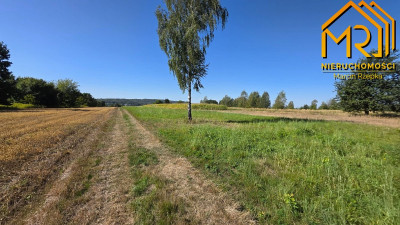 
4 działki budowlane w Skrzyszowie  blisko Tarno - Skrzyszów  -
małopolskie Zdjęcie nr 7
