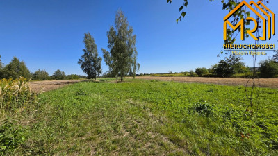 
4 działki budowlane w Skrzyszowie  blisko Tarno - Skrzyszów  -
małopolskie Zdjęcie nr 9