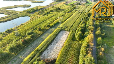 Działka rolna 09283 ha przy ul Niedomickiej Tar - Tarnów  -
małopolskie Zdjęcie nr 11