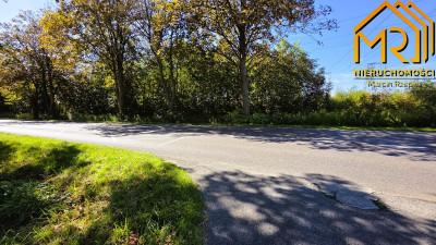Działka rolna 09283 ha przy ul Niedomickiej Tar - Tarnów  -
małopolskie Zdjęcie nr 13