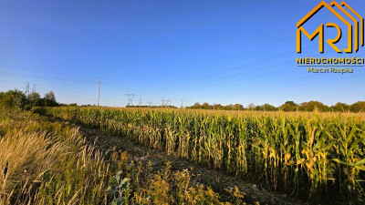 Działka rolna 09283 ha przy ul Niedomickiej Tar - Tarnów  -
małopolskie Zdjęcie nr 4
