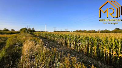 Działka rolna 09283 ha przy ul Niedomickiej Tar - Tarnów  -
małopolskie Zdjęcie nr 5