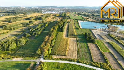 Działka rolna 09283 ha przy ul Niedomickiej Tar - Tarnów  -
małopolskie Zdjęcie nr 7