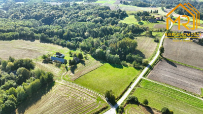 Działki 1214 ar w spokojnej okolicy  Zwiernik 1 - Zwiernik  -
PODKARPACKIE Zdjęcie nr 3