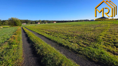 Działka 022 ha z WZ  Dulcza Wielka gm Radomyśl - Dulcza Wielka  -
podkarpackie Zdjęcie nr 11