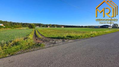 Działka 022 ha z WZ  Dulcza Wielka gm Radomyśl - Dulcza Wielka  -
podkarpackie Zdjęcie nr 6