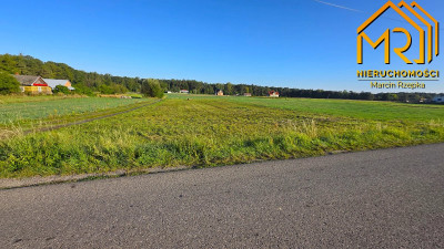 Działka 022 ha z WZ  Dulcza Wielka gm Radomyśl - Dulcza Wielka  -
podkarpackie Zdjęcie nr 7