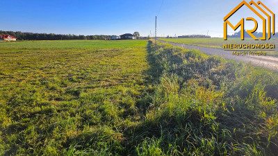 Działka 022 ha z WZ  Dulcza Wielka gm Radomyśl - Dulcza Wielka  -
podkarpackie Zdjęcie nr 8