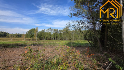 Działka budowlana 01376 m  Pogórska Wola gmina - Pogórska Wola  -
małopolskie Zdjęcie nr 12