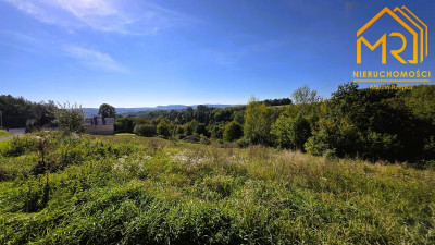 Działka WZ 1255 ar  Brzeziny gm Wielopole Skrz - Brzeziny  -
PODKARPACKIE Zdjęcie nr 11