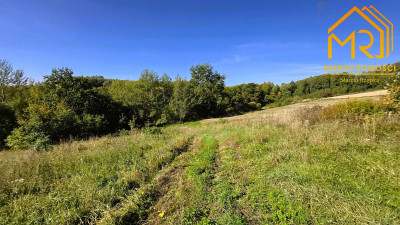 Działka WZ 1255 ar  Brzeziny gm Wielopole Skrz - Brzeziny  -
PODKARPACKIE Zdjęcie nr 12