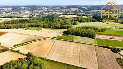 Działka WZ 1255 ar  Brzeziny gm Wielopole Skrz - Brzeziny  -
PODKARPACKIE Zdjęcie nr 4