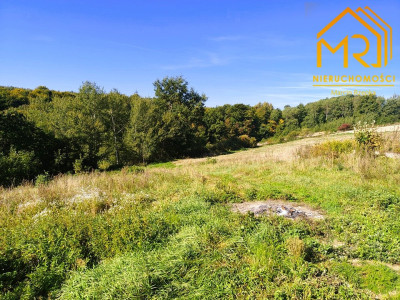 Działka WZ 1255 ar  Brzeziny gm Wielopole Skrz - Brzeziny  -
PODKARPACKIE Zdjęcie nr 8