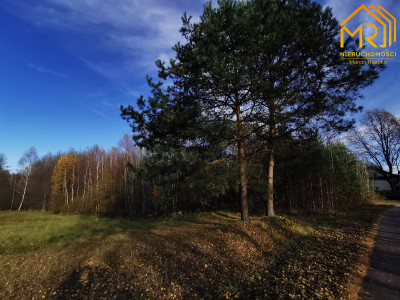 Działka pod zabudowę koło Tarnowa 1.22 ha Pogórska Wola -
małopolskie Zdjęcie nr 12