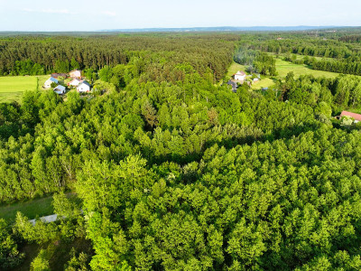 Działka w Pogórskiej Woli - Pogórska Wola  -
małopolskie Zdjęcie nr 10