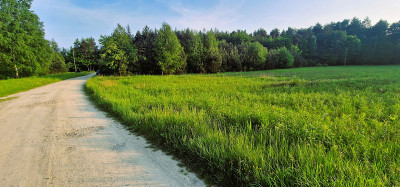 Działka w Pogórskiej Woli - Pogórska Wola  -
małopolskie Zdjęcie nr 5