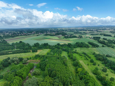 Działka rolna w Jadownikach koło Brzeska - Jadowniki  -
małopolskie Zdjęcie nr 5